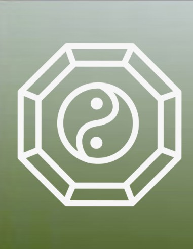 Formation San He Feng Shui – Analyse de l’environnement et des flux