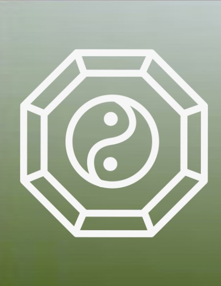Formation San He Feng Shui – Analyse de l’environnement et des flux