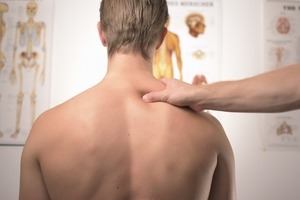 The traditional Chinese medicine 