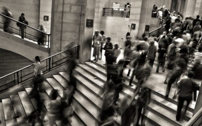 Feng Shui pour les entreprises